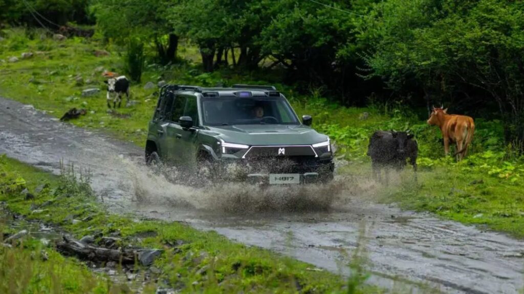 千里东风，始于猛士