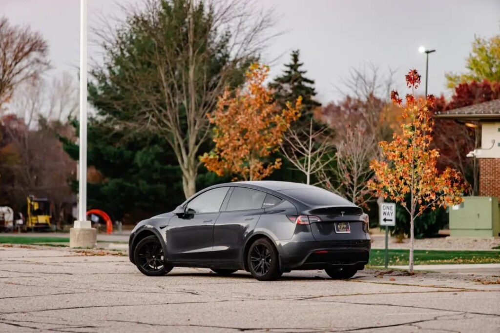 难以撼动的Model Y，持续失血的特斯拉