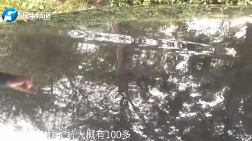 车企在装冰箱彩电，老天爷在考防水防火