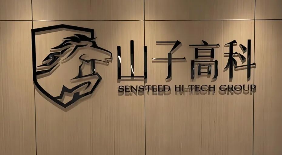 警惕造车新势力的“表演式复活”