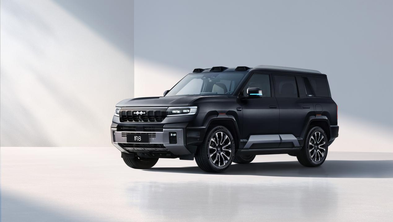 方程豹豹8 45度夜影黑 拷贝 2