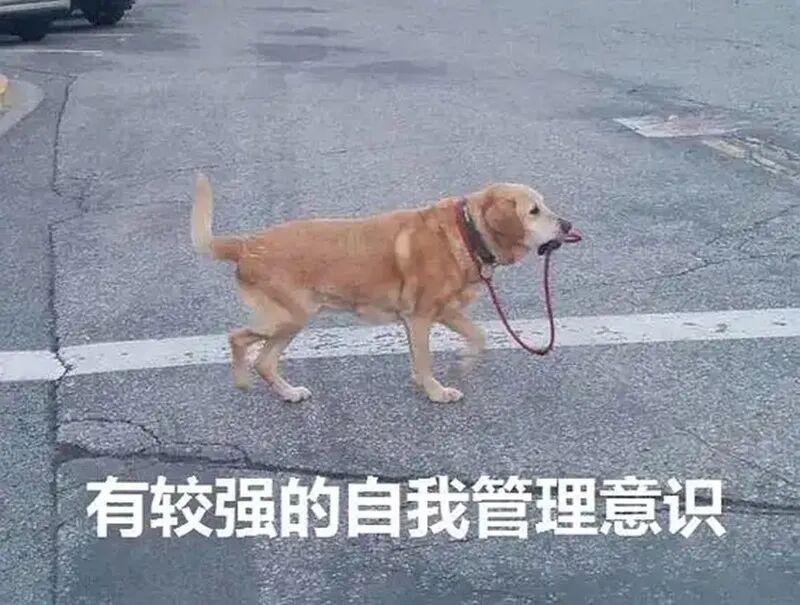 荷兰被迫撤回管制令，但安世半导体“风波”不会轻易结束