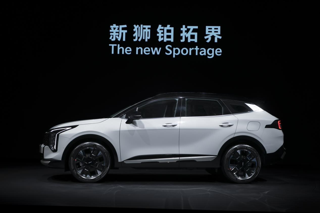 新狮铂拓界车身侧面图